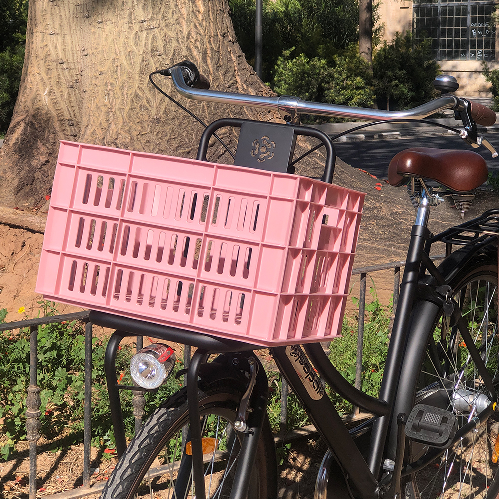 Amigo bicicleta caja de plástico de 33,6 litros de Rosa